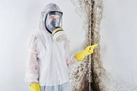 Best Mold Remediation for Healthcare Facilities  in Flandreau, SD